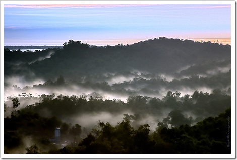 Fog_Rising_by_Syukmassesdesign