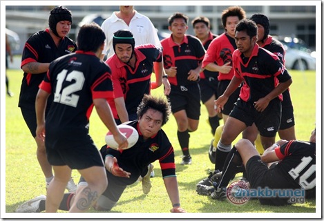 IMG_8554