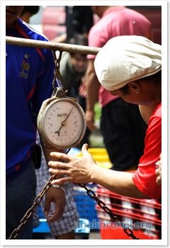 IMG_1555