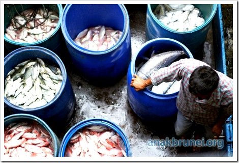 Pasar Gadong Revisited 004