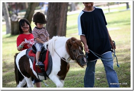Img 7866 IMG_7866