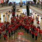 The Human Chain!