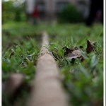 Tarik Kalat – Tug of War