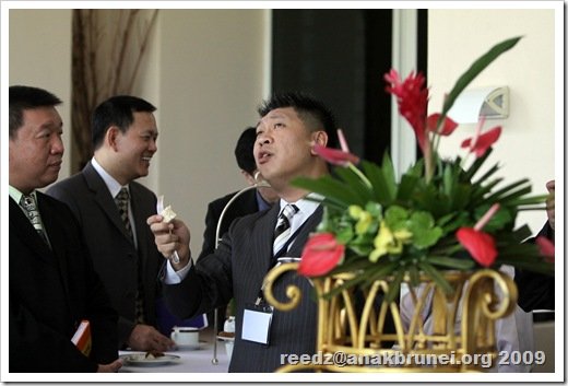 IMG_8434 IMG_8434
