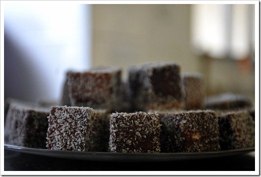 Foodie-3004