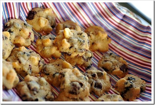 Foodie-3008