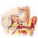 How&rsquo;s your hearing?