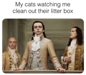 Cleaning a Cat’s Litter Box: Truly a Lesson in Humility